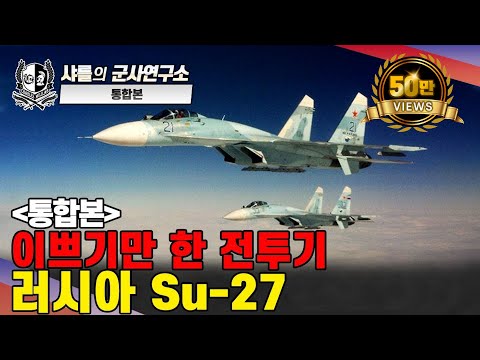 [통합본] 이쁘기만 한 전투기! 러시아 Su-27#샤를세환#이세환