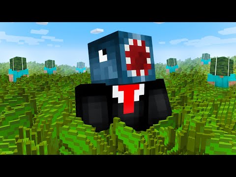 How a Kelp Cult took over Lifesteal