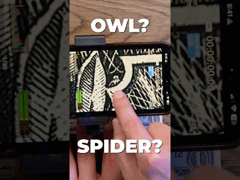 Hidden CREATURE on Your Dollar Bills??? #money #lifehack #secret