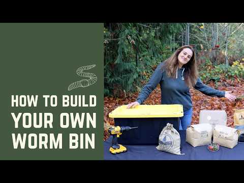 Build a DIY Worm Composting Bin