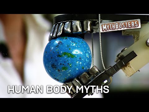 Testing The Limits of The Human Body! | MythBusters
