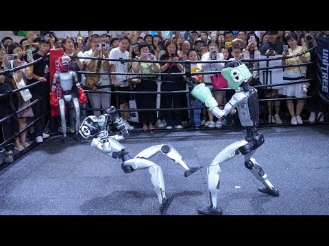 Robots Battle for Gold in Boxing For Robot Olympics