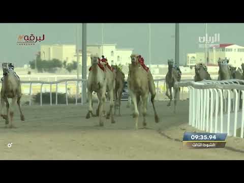 ش3 المهندس لـ حمد راشد حمد غدير الكتبي (مهرجان سمو الأمير الوالد 27-1-2023م) الخنجر الفضي زمول مفتوح