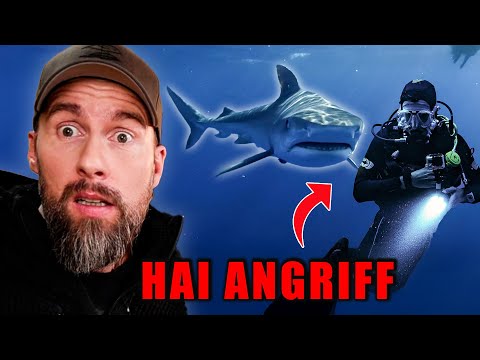 4 TOTE durch HAI-ATTACKEN in 2 WOCHEN?! Was ist Passiert? | Robert Marc Lehmann reagiert