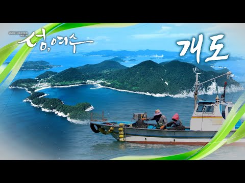 [섬, 여수 - 개도] 365개 여수의 섬들이 간직해 온 특별한 이야기! 가고 싶은 섬, 여수 개도 [2026여수섬박람회 특별기획]
