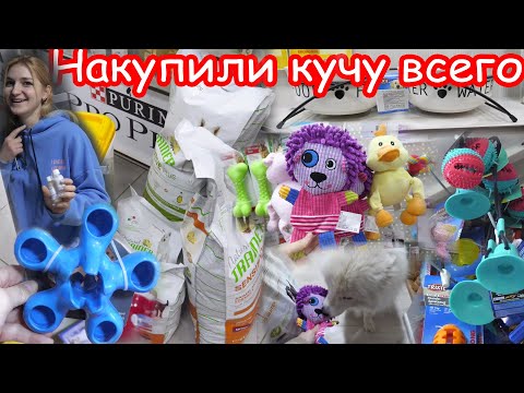 VLOG Закупились в зоомагазинах на огромную сумму