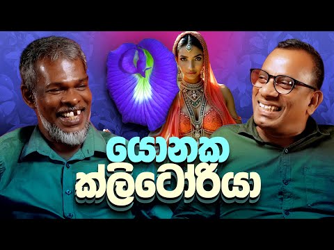 යොනක ක්ලිටෝරියා - +18 - සක්වල කයිය