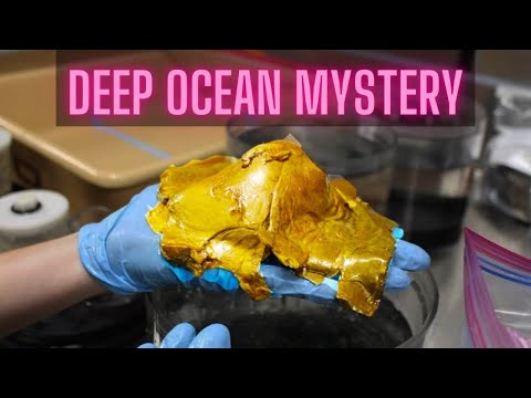 Strange, Gold, Biological Discovery on Sea Floor (Ep #225)