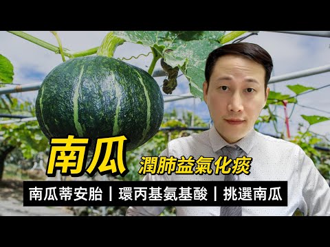 南瓜，營養功效和注意，瓜子瓜藤瓜花各有其用，南瓜又可潤肺益氣化痰