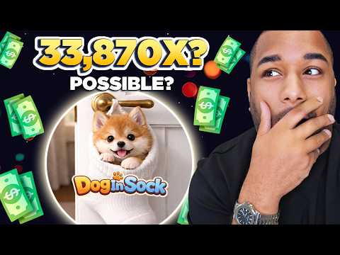 🔥I Think I Just Found The Next BIG Meme Coin! | Dog In Sock