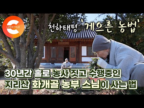 1984년에 출가해 지리산으로 간 사람, 30년 세월 홀로 농사 지으며 수행중인 농부 스님🥬 화개골 자응 스님이 사는 법