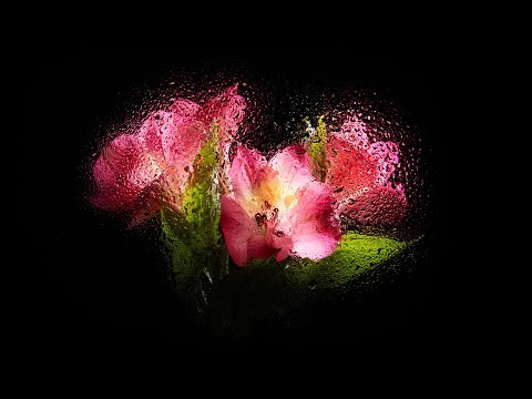 Creative still life art photography