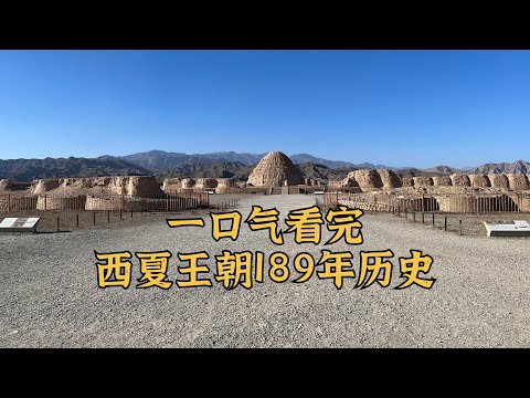 一口气看完西夏王朝189年历史
