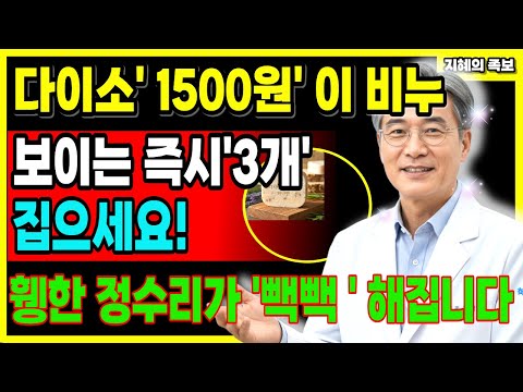 다이소 1500원 비누, 의사도 쓰고 놀랐습니다 ! 60대 모발이 풍성해져서 나이도 헷갈립니다| 60대이상 꼭 보세요
