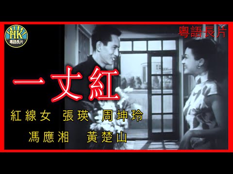 《粵語長片》一丈紅 (1952)｜紅線女｜張瑛｜周坤玲｜馮應湘｜黃楚山 | 導演：李鐵 | 香港電影 | 香港粵語電影 | 粵語中字