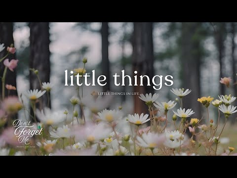 Little Things in Life ๐ธ Relaxing Guitar Music for Peaceful Mind, Sleep & Stress Relief