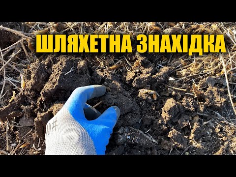 Це належало давньому шляхетному роду! Пошук з металошукачем в Україні