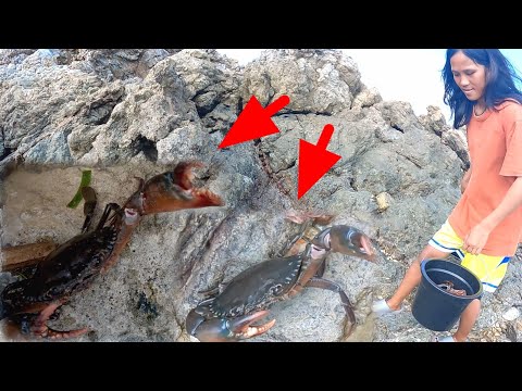 Naaktohan Hindi akalaing Naglabasan!