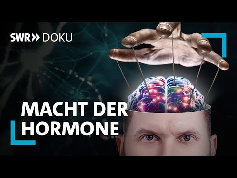 Vermögen verschenken, keine Muttergefühle - Wie Hormone uns steuern | SWR Doku
