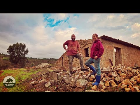 Days Spent Restoring Our Stone House in the Country š”#dreamhomejourney