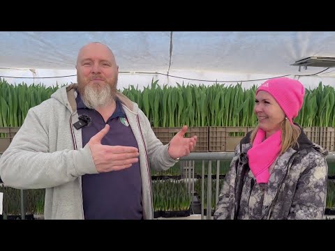 Легендарная Надежда из Богословки: как построить агробизнес С НУЛЯ на приусадебном участке!