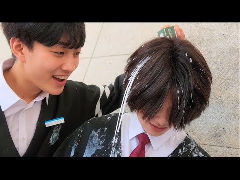 They Don’t Know that this New Student they’re Bullying is the Most Dangerous Gang Leader in Korea!!