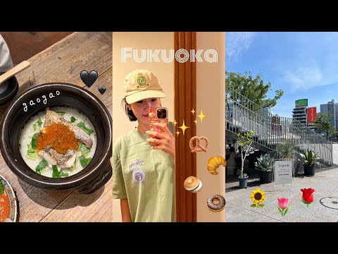 후쿠오카 여행 Ep.1 🇯🇵 맛집만 골라 가는 3박 4일 후쿠오카 여행, 가오가오, 멘타이쥬, 스톡, 니시도리 푸딩, 긴다코, 편털까지 완벽한 먹방 여행, 플라자 호텔 프리미어
