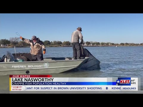 Crappie population at Lake Nasworthy healthier after growth concerns