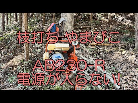 枝打ち やまびこ(AB230-R)復活記録