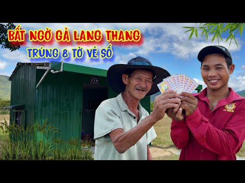 BẤT NGỜ trúng xổ số, gà lang thang TẶNG hết cho người nghèo - tập 1602