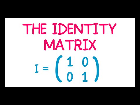 The Identity Matrix