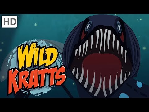 🦈🦑Wild Kratts - Ocean Explorers | Kids Videos