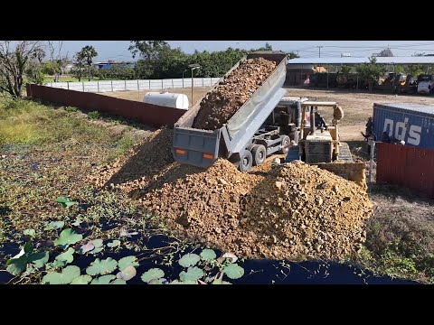 Massive Project Start to Finish, Quick Expert D53A Bulldozer With Big Dump Trucks Pour Land Flood