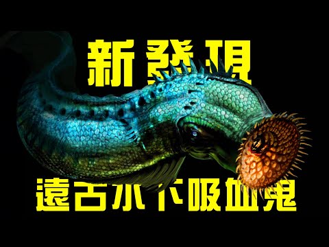 新發現！水下吸血鬼七鰓鰻的祖先居然是吃肉的？一億年前的蚊子真的吸過恐龍的血！蝙蝠的祖先就會神技聽聲辨位？丨朝化析拾19丨黑毛羊駝