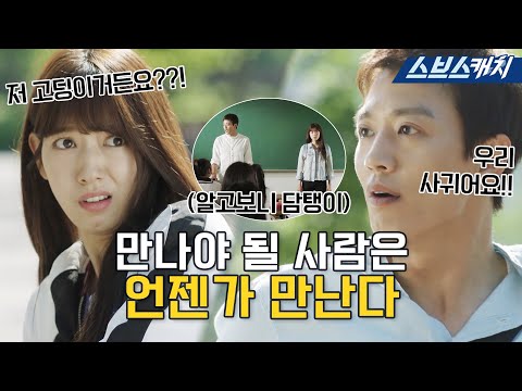 첫 만남부터 사귀자고요..? 차암내~😳 통성명도 하기 전에 고백한 김래원X박신혜의 운명같은 인연💖.zip  #닥터스 #모았캐치 #SBSCatch