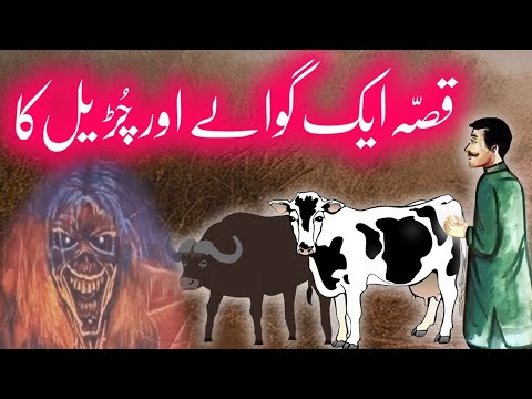 Qissa Aii Gawalay Aur Chudail Ka | Urdu Hindi Horror Story