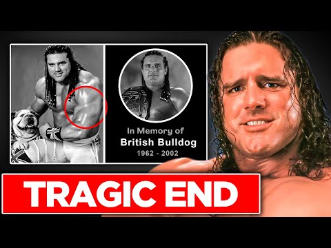How The British Bulldog's MASSIVE SIZE Led To His DEATH | Tragic True-Life Story