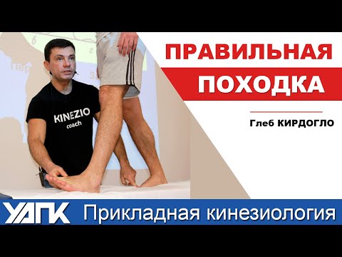 Где искать нарушения шага? (Глеб Кирдогло)