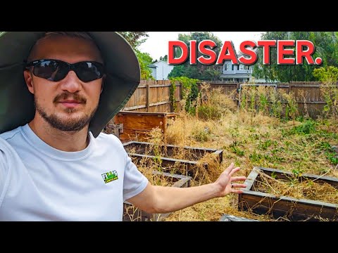 If I Didn't STOP & KNOCK, I Would've Never Discovered The TRUTH