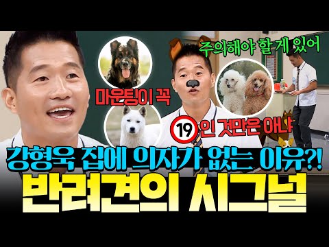 이 행동이 ＂나 좀 도와줘＂라는 뜻이었다고?!😱 강형욱이 알려주는 반려견 시그널 모음🐶｜아는 형님｜JTBC 190824 방송