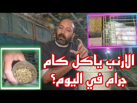 الارنب ياكل كام جرام ف اليوم.