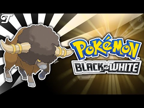 How to Catch Bouffalant - ⚫ Pokémon Black & White ⚪