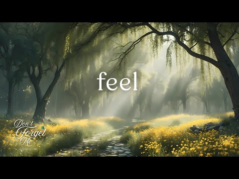 Feeling the Quiet Heart 🌼🌲Gentle Guitar & Ambient Music for Sleep, Study & Stress Relief