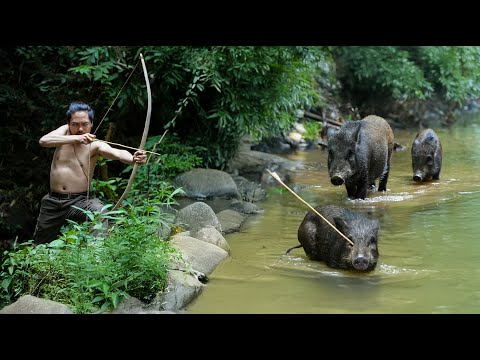 Intruders in the Night - Facing Off Against a Herd of Wild Boars/ Panorama of the Hunt, Part 2