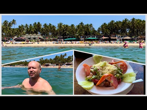 #6 Goa's Secret Revealed! Dangerous Marine Life in India. When to Go to Goa - Seasons. India 2024