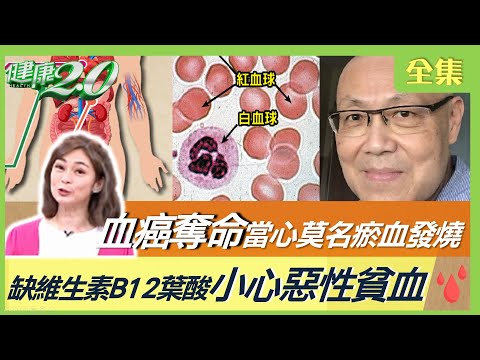 劉忠繼不明原因發燒 確診血癌病逝！8症狀心悸易喘注意！缺維生素B12葉酸恐釀惡性貧血！健康2.0 20230408【完整版】鄭凱云 吳鴻誠 王健宇 梁惠雯 宋明樺 雷議宗 @tvbshealth20
