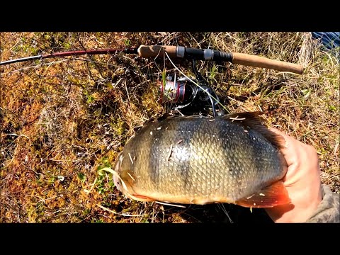 Monster Lake. Huge bass caught on spinning rods.