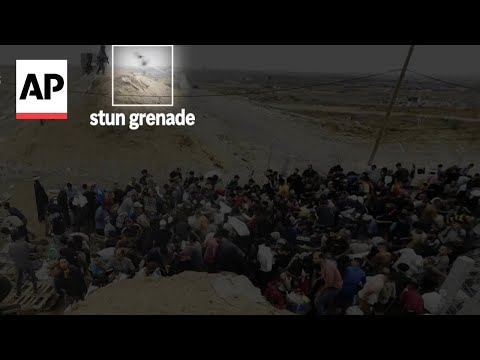 US contractors say their colleagues are firing live ammo as Palestinians seek food in Gaza