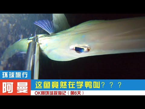 《环球探海记》阿曼~第6天:晚上夜潜叉鱼,竟然叉中一条会学鸭叫的大鱼!