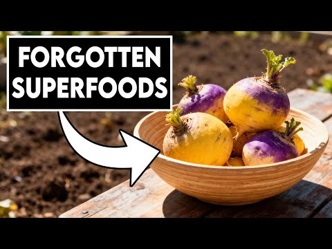 20 Forgotten Crops Poor Families Grew To Survive The Great Depression